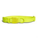 ZEE DOG - COLLIER NEOPRO LIME SMALL