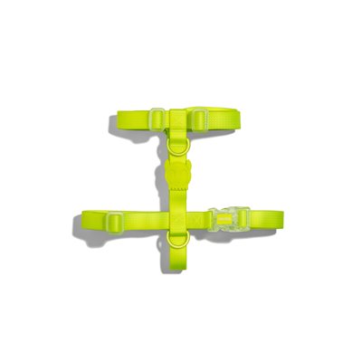 ZEE DOG - HARNAIS-H NEOPRO LIME LARGE