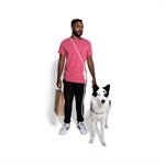 ZEE DOG - LAISSE HANDS-FREE VANILLA