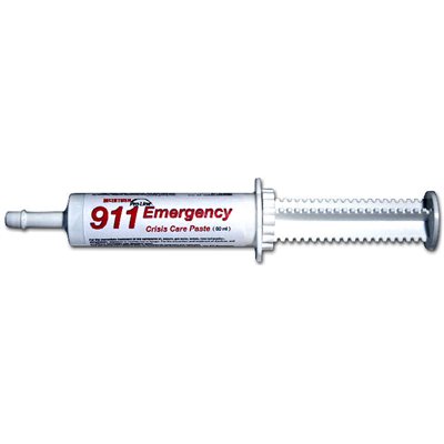 911 EMERGENCY PASTE 80 ML