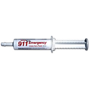 911 EMERGENCY PASTE