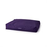 ARICO COUSSIN RECTANGLE STANDARD VIOLET