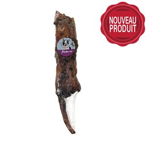 TENDON DE BOEUF 8-12'' 50 / CS