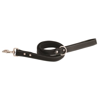 SHEDROW K9 RICHMOND LAISSE CUIR SURPIQUÉ NOIR MEDIUM 5'